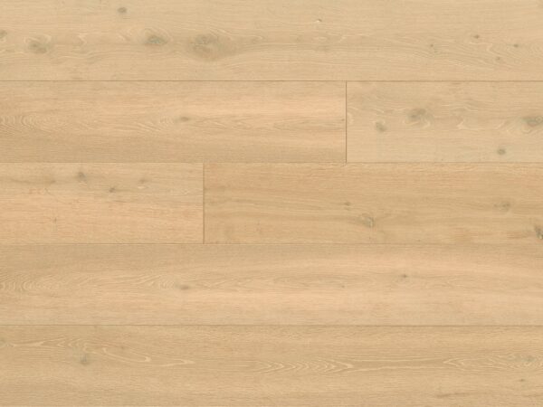 Eko 204010D